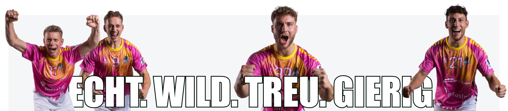 Wölfe Startseitenbanner